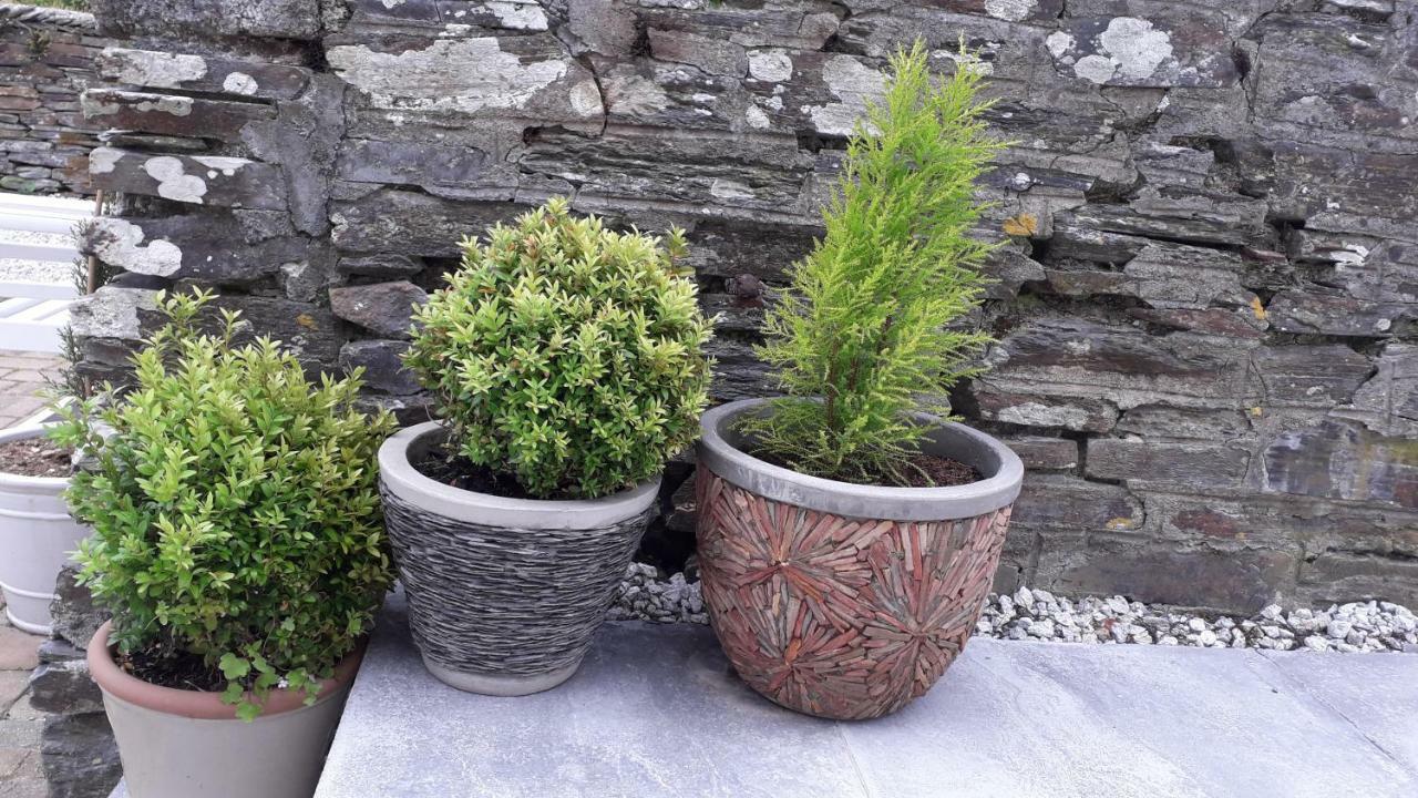 Bed and Breakfast Melorne Farm Camelford Exterior foto